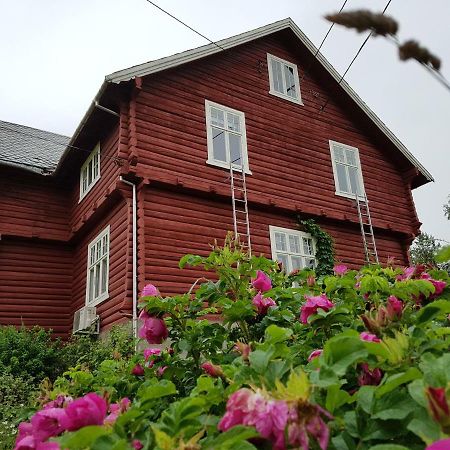 Haugtun Gardspensjonat Og Leiligheter Nordre Land 外观 照片