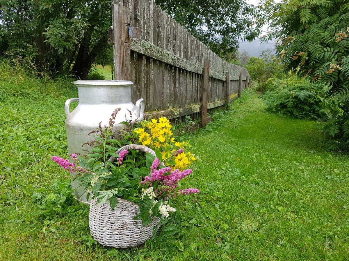 Haugtun Gardspensjonat Og Leiligheter Nordre Land 外观 照片