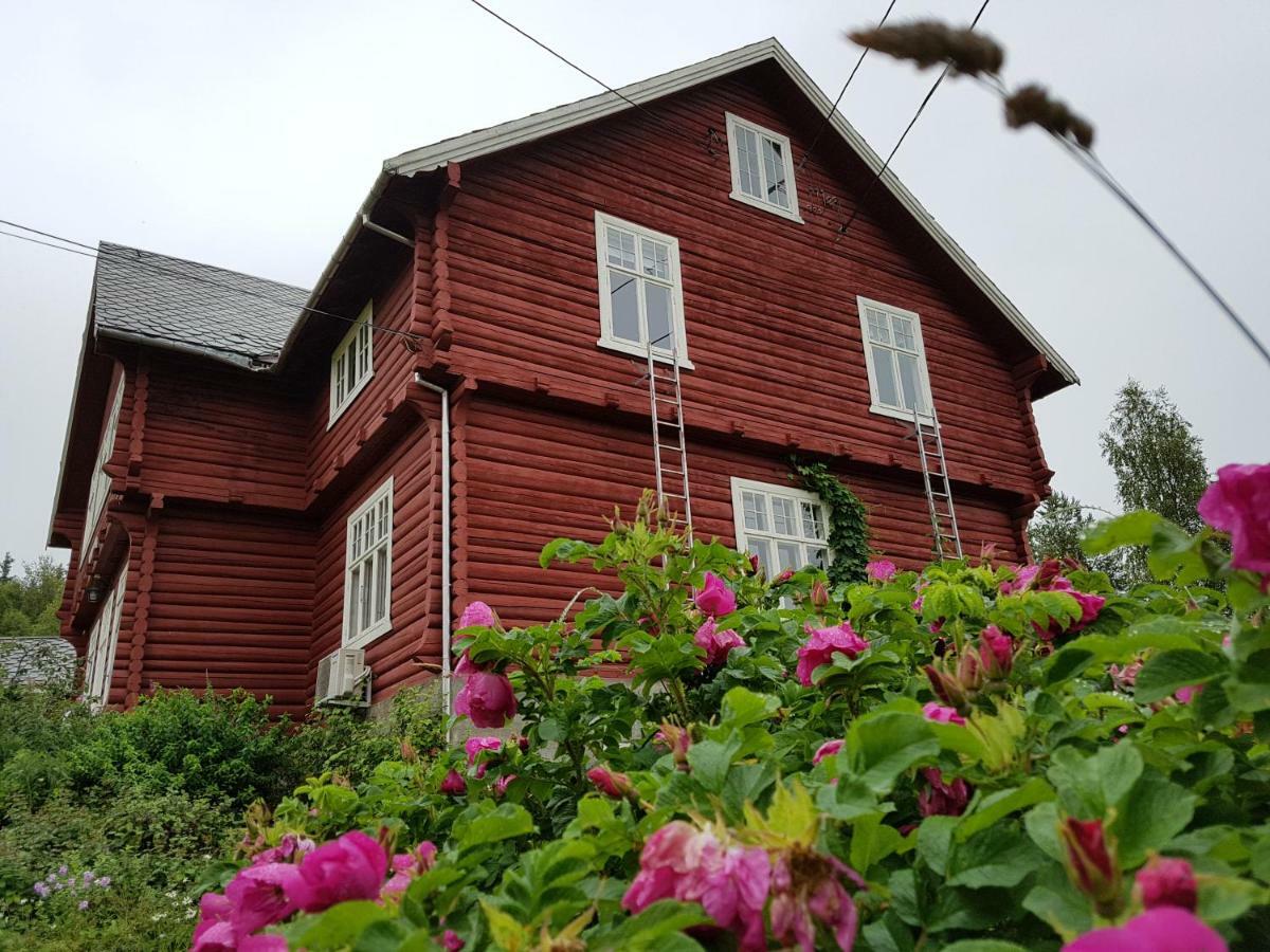 Haugtun Gardspensjonat Og Leiligheter Nordre Land 外观 照片