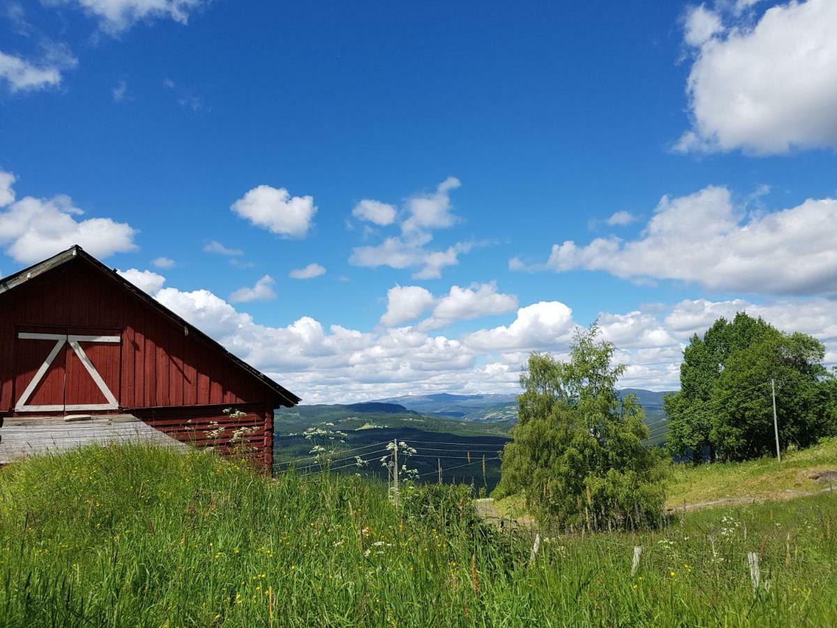 Haugtun Gardspensjonat Og Leiligheter Nordre Land 外观 照片