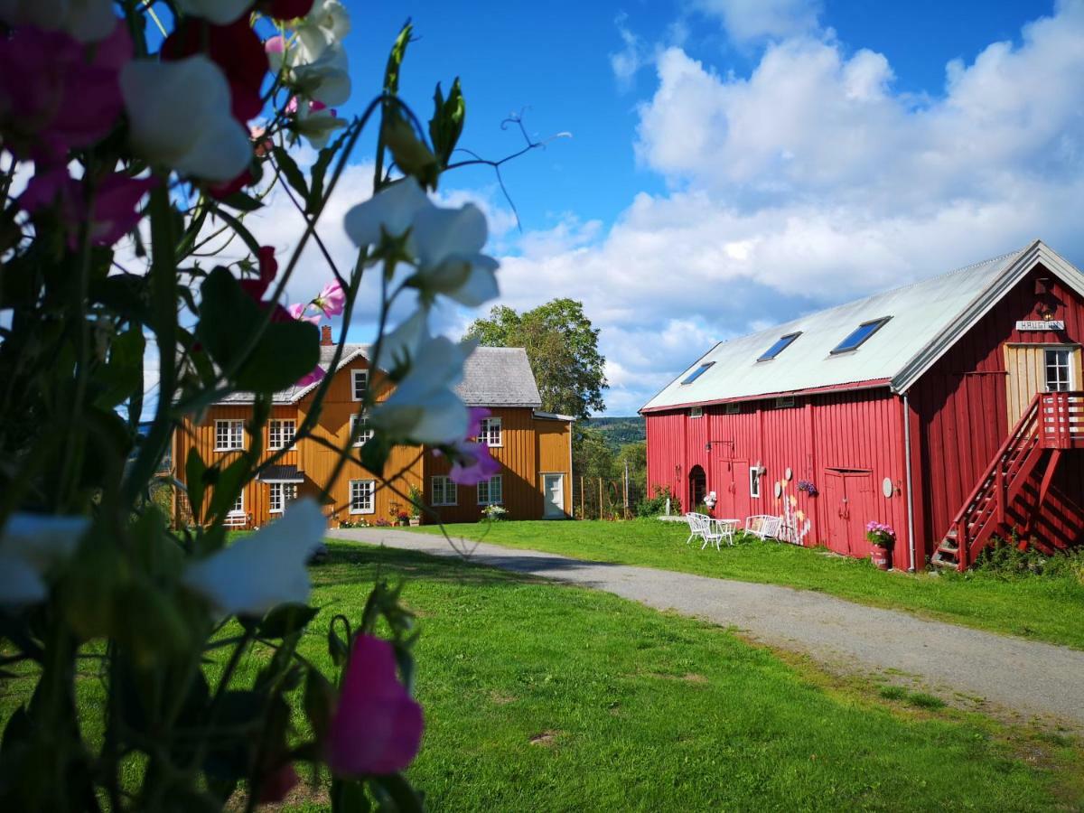 Haugtun Gardspensjonat Og Leiligheter Nordre Land 外观 照片