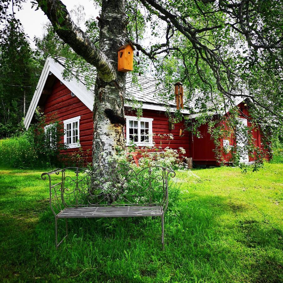 Haugtun Gardspensjonat Og Leiligheter Nordre Land 外观 照片